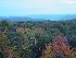 View from Olson Tower